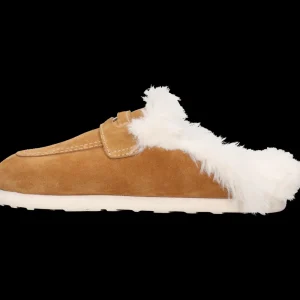 Anima 1-Melvin & Hamilton Hot