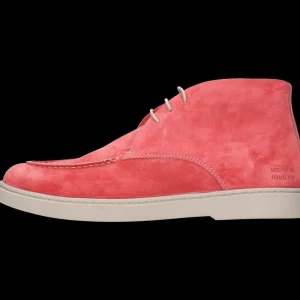 Bruno 1-Melvin & Hamilton Cheap