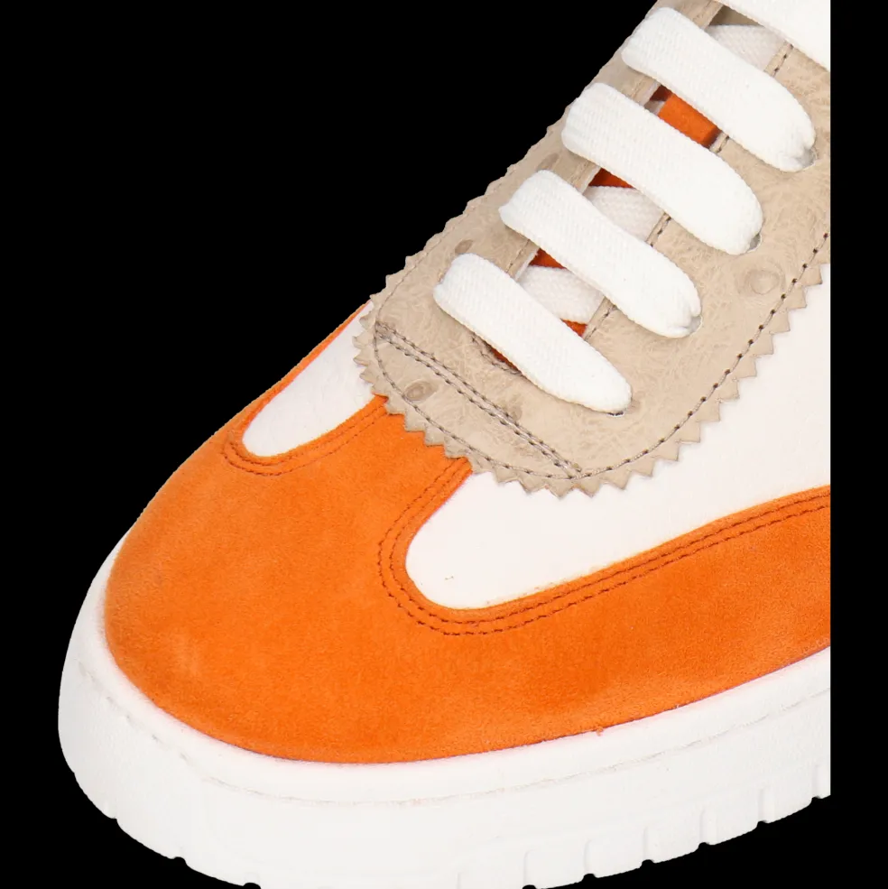 Hailey 29-Melvin & Hamilton Cheap