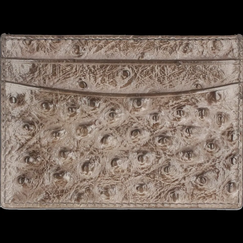 Remy-Melvin & Hamilton Fashion